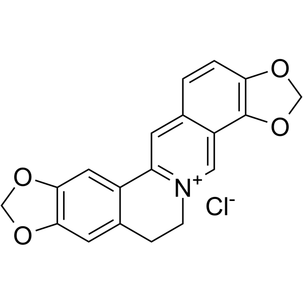 Coptisine chloride Structure